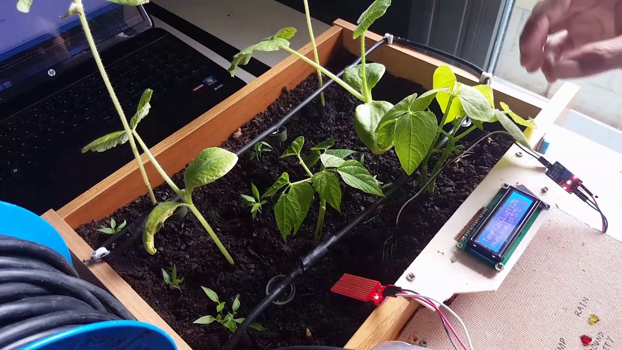 Sistema de Riego Automático IoT